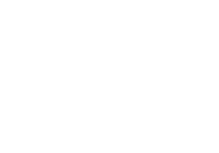 The iVault Token