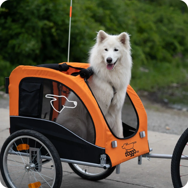 doggo-bike-trailer-2022-265582-1.png